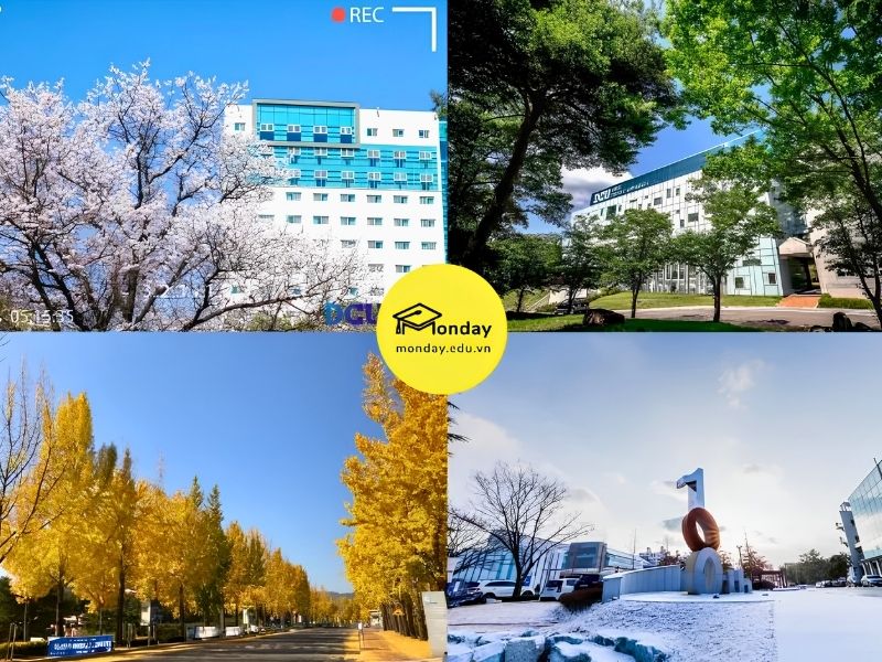 4 mùa ở trường Đại học Daegu Catholic