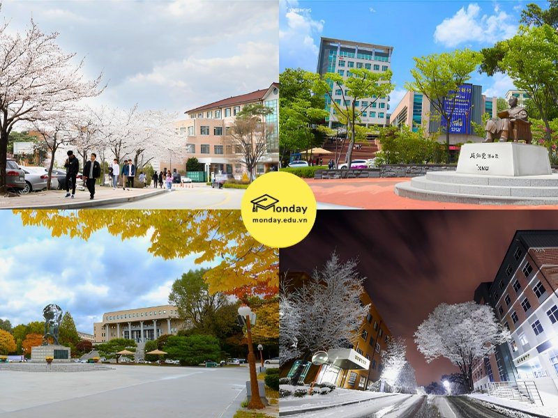 4 mùa trường Đại học Quốc gia Kangwon