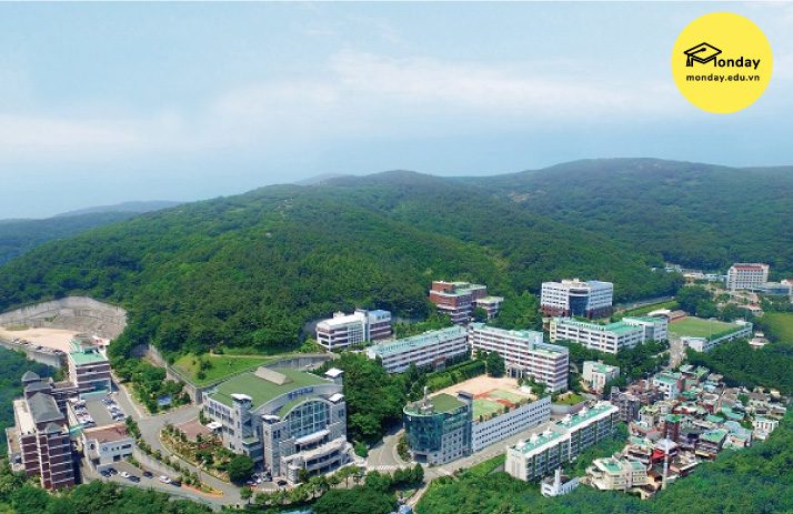 View trường Cao đẳng Dongju nhìn từ trên cao