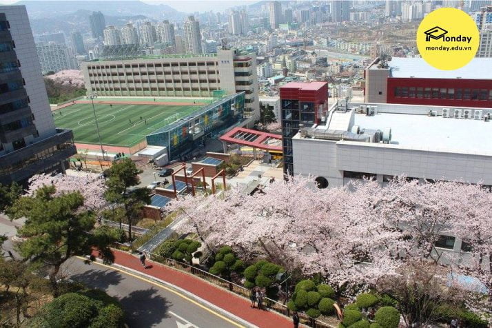 Khuôn viên Viện Công nghệ Dong-eui nhìn từ trên cao