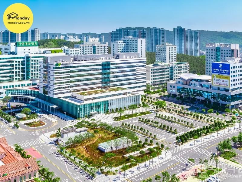 Cơ sở y tế Daejeon của Đại học Konyang