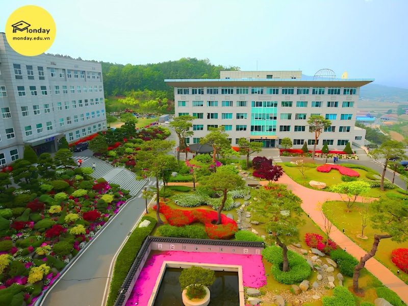 Đại học Seojeong Hàn Quốc