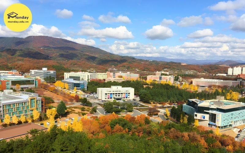 Khung cảnh Đại học Daegu Catholic mùa thu