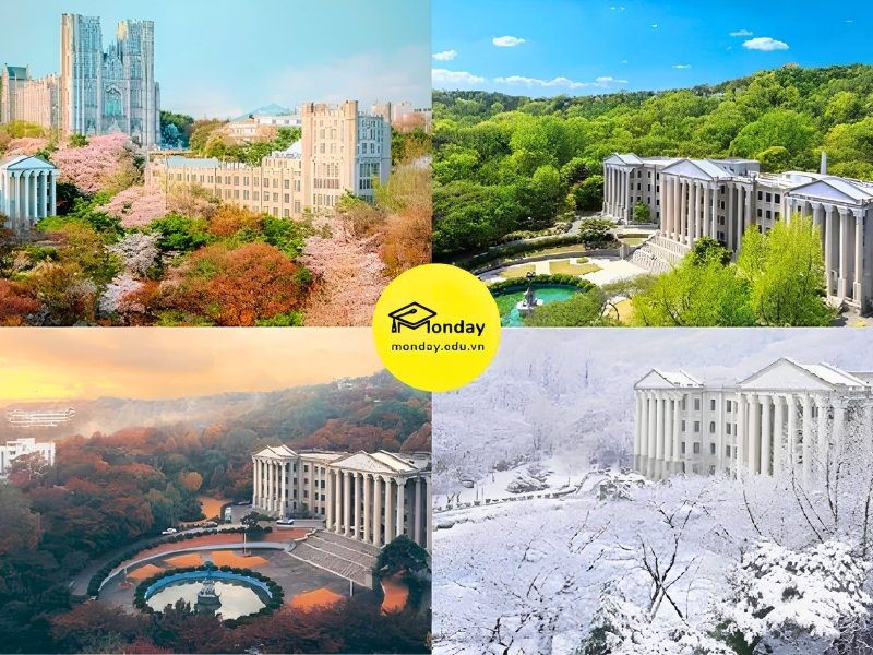 4 mùa trường Đại học Kyung Hee