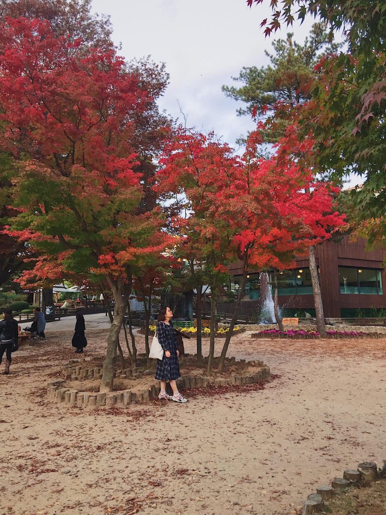 Còn đây là mùa thu Hàn Quốc 