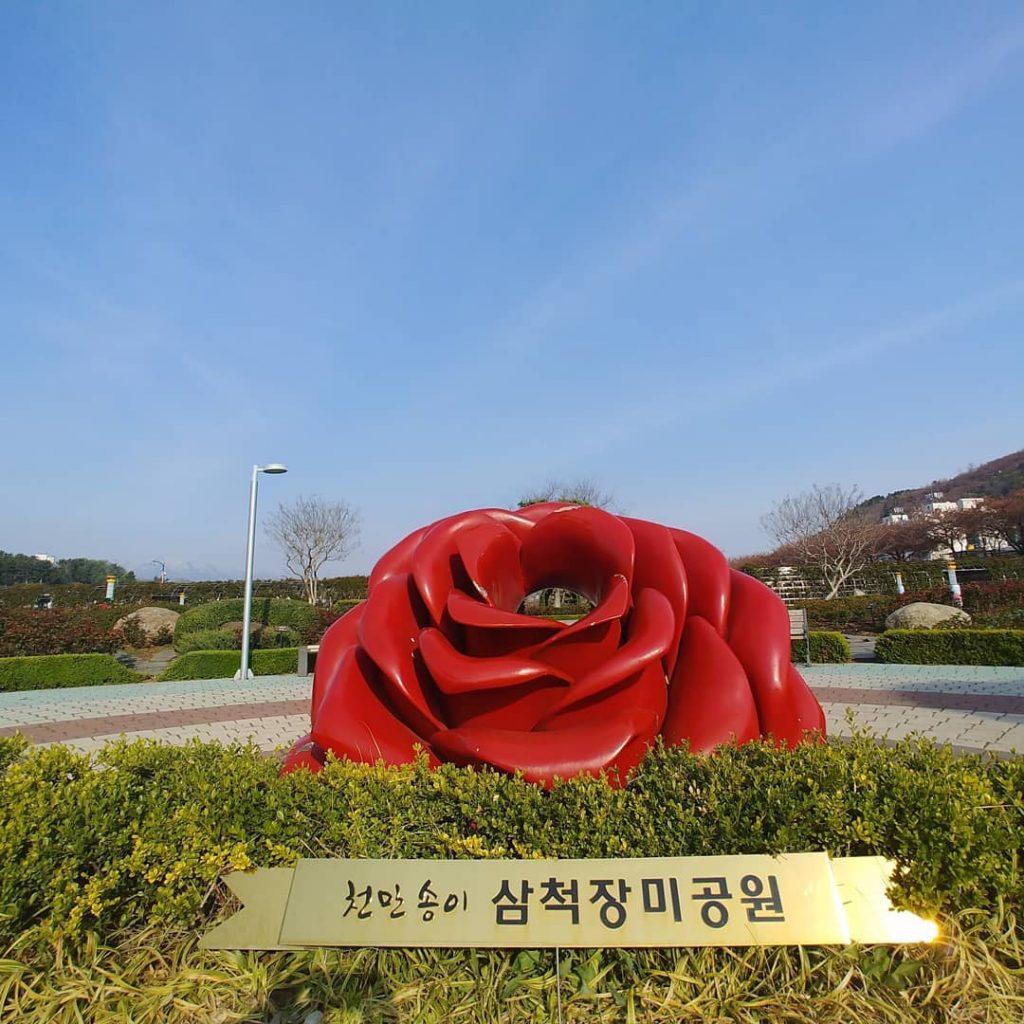 Lễ hội hoa hồng ở thành phố Samcheok, Gangwon - 삼척장미축제