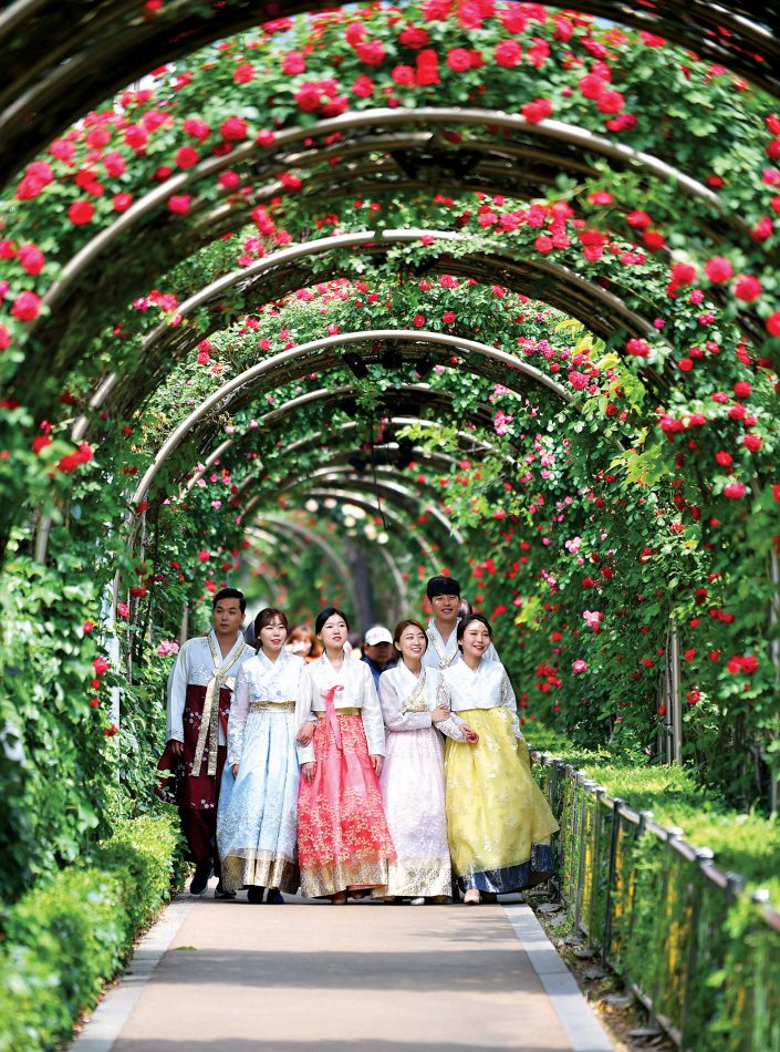 Lễ hội hoa hồng Seoul bên suối Jungnang - 서울장미축제