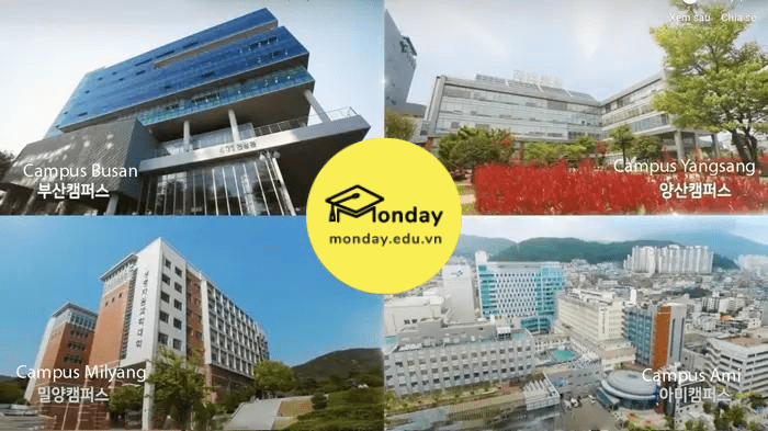 4 cơ sở của Đại học quốc gia Pusan - Pusan National University