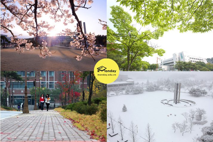 4 mùa tại Đại học Quốc gia Gangneung Wonju