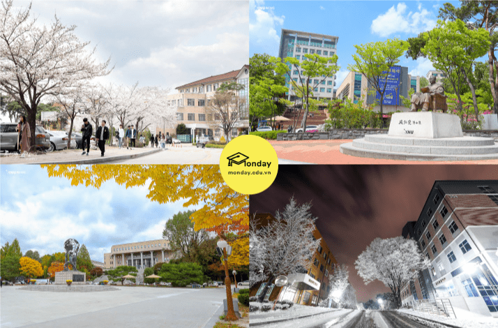 Khuôn viên Đại học Quốc gia Kangwon qua 4 mùa
