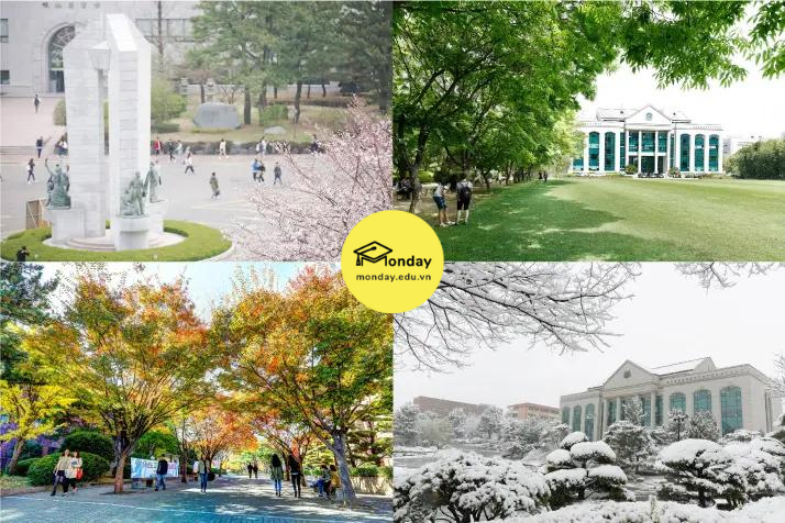 Khung cảnh 4 mùa ở Đại học Ulsan