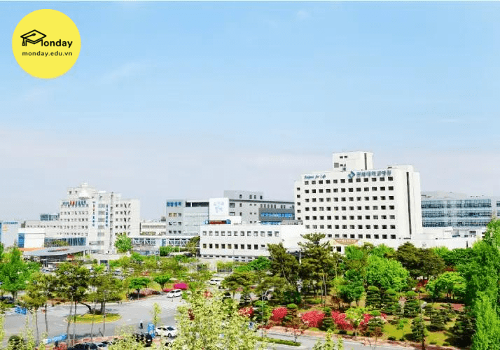 Đại học Hàn Quốc ngành Công nghệ sinh học