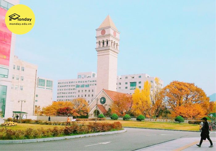 Đây là trường Đại học Sejong