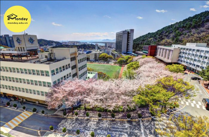 Mùa Xuân lãng mạn & xinh đẹp tại đại học Dong-A