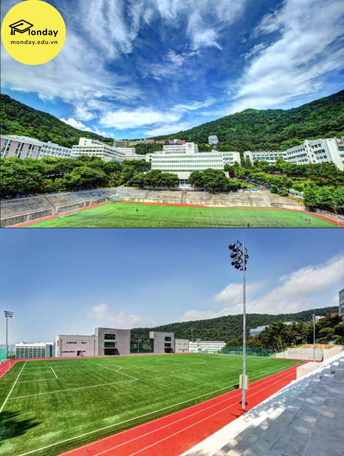 Sân vận động Đại học Dong-A rộng rãi và hiện đại