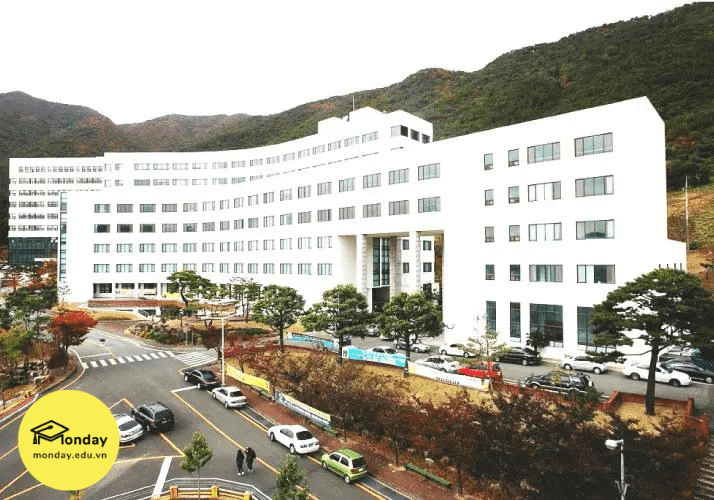 Đại học Youngsan - Trường Đại học đầu tiên của Hàn Quốc nhận chứng chỉ ISO