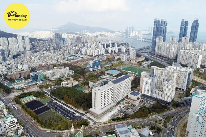 Đại học quốc gia Pukyong campus Daeyeon