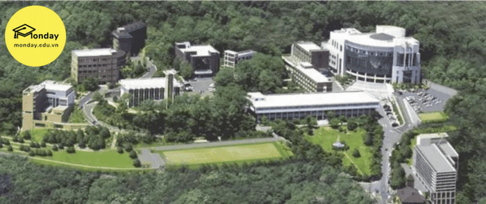 Toàn cảnh Đại học Thần học Seoul nhìn từ trên cao