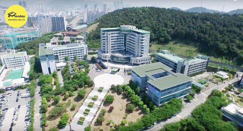 Khuôn viên xinh đẹp của Đại học Tongmyong nhìn từ trên cao