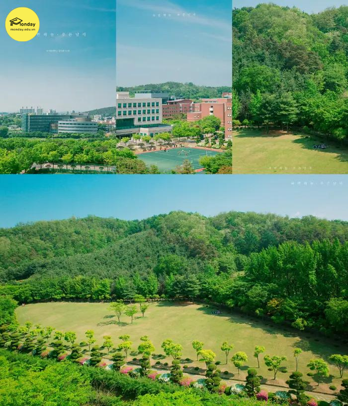 Mùa hè Đại học Namseoul
