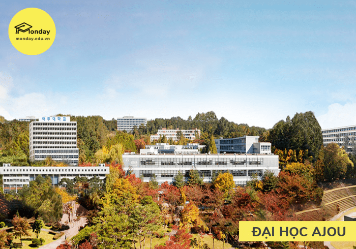 Top Đại học khu vực Gyeonggi - Đại học Ajou