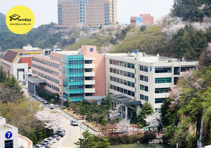 Đây là trường Đại học Dong-eui