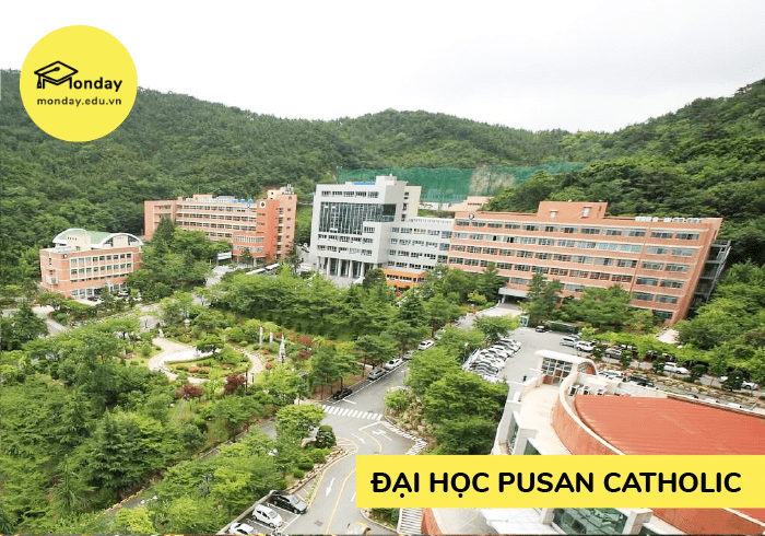 Đại học Pusan Catholic