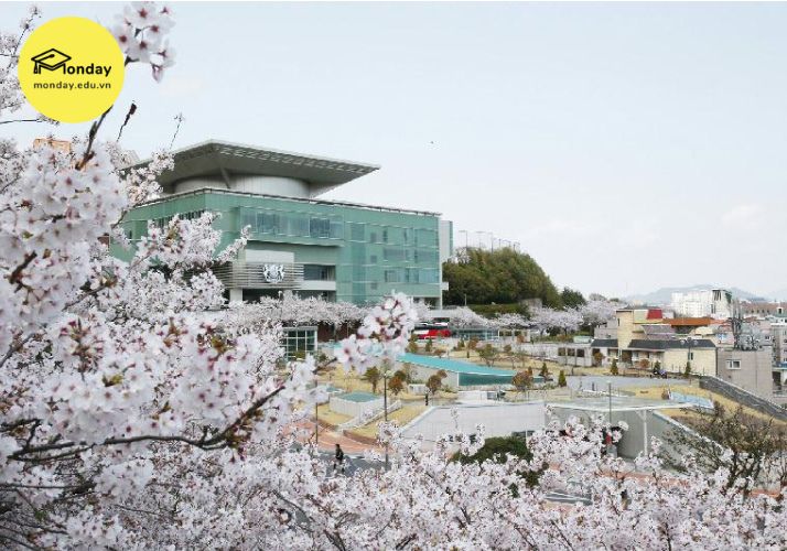 Đại học Kyungnam top 10 trường Đại học tốt nhất Gyeongnam