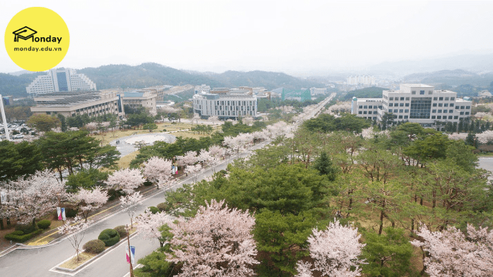 Khuôn viên Đại học Semyung sang thu 