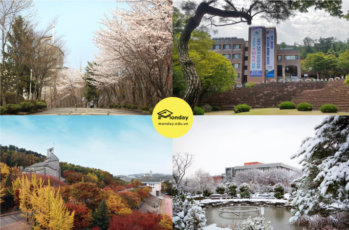 Khung cảnh xinh đẹp ở trường đại học Hanshin qua 4 mùa