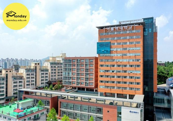 Đại học tốt nhất Seoul - Đại học Korea Catholic