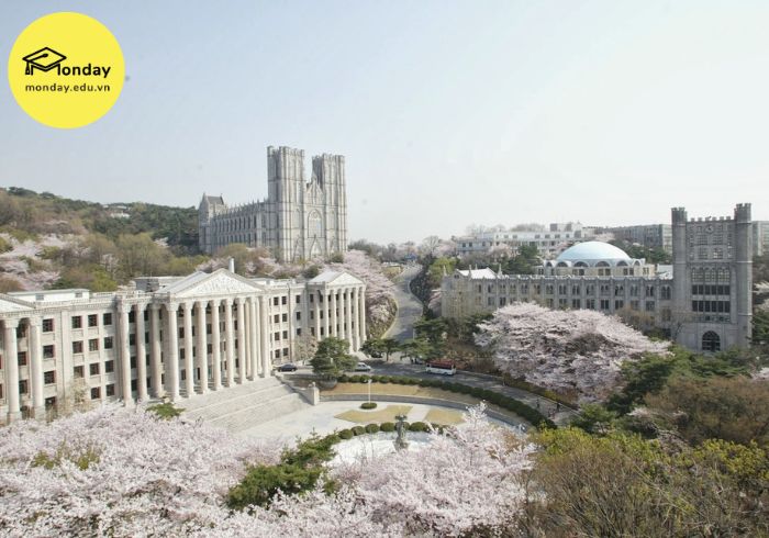 Trường đào tạo ngành Hàn Quốc học - Đại học Kyung Hee