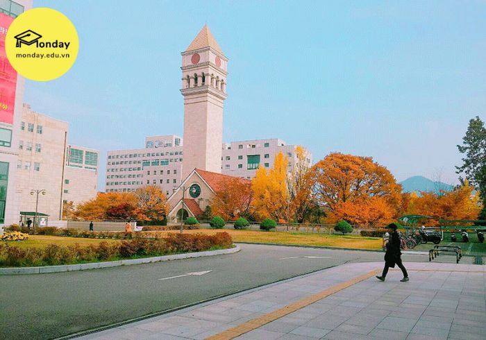 Trường đào tạo ngành Hàn Quốc học - Đại học Sejong