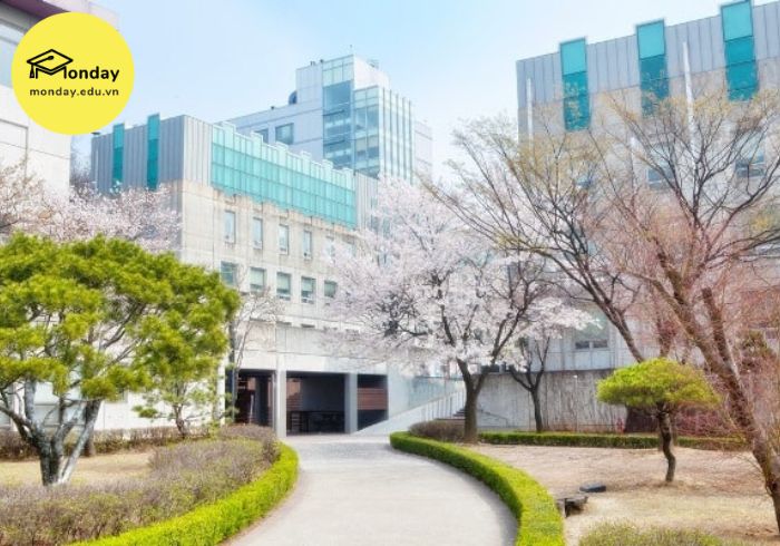 Đại học tốt nhất Seoul - Đại học Sungkonghoe