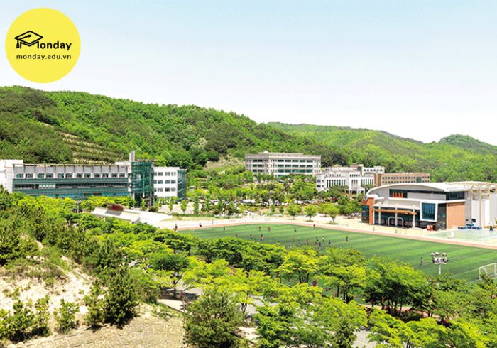 Trường đào tạo ngành Hàn Quốc học - Đại học Uiduk