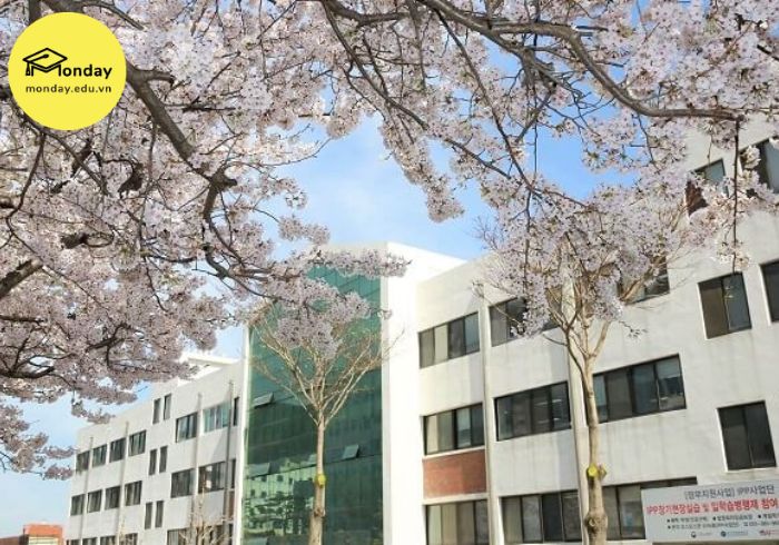 Trường đào tạo ngành Hàn Quốc học - Đại học Youngsan
