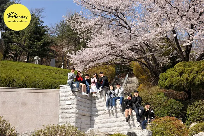 Khung cảnh mùa xuân xinh đẹp trong khuôn viên trường Kookmin