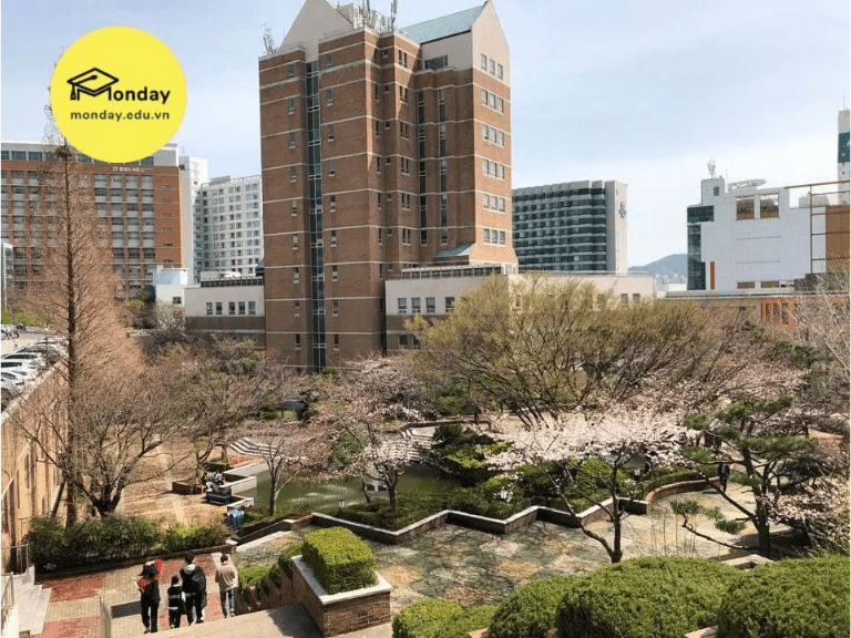 Top trường Cao Đẳng ở Busan