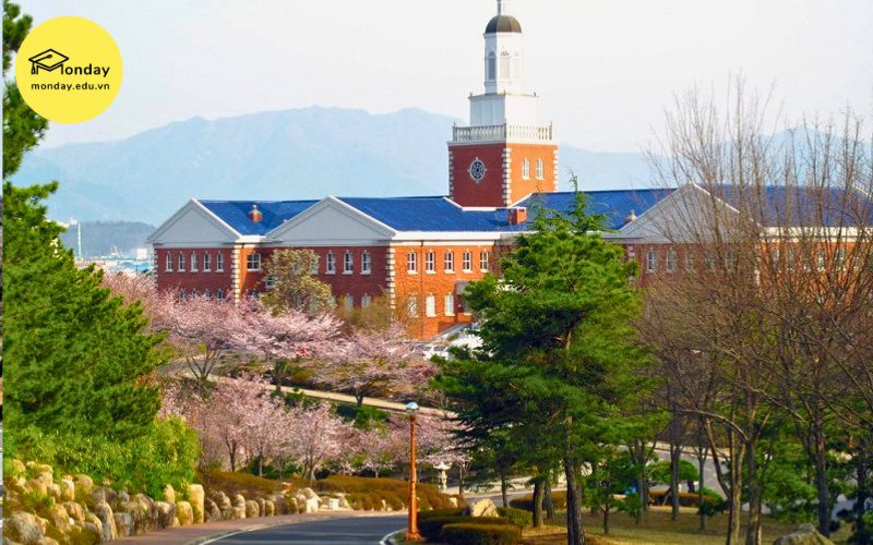 Đại học Keimyung đào tạo ngành điều dưỡng